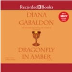 Dragonfly in amber